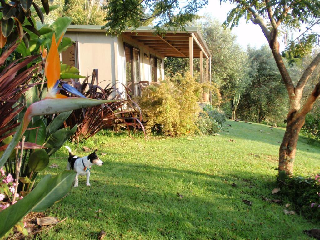 Wharepuke Subtropical Accommodation Kerikeri Szoba fotó