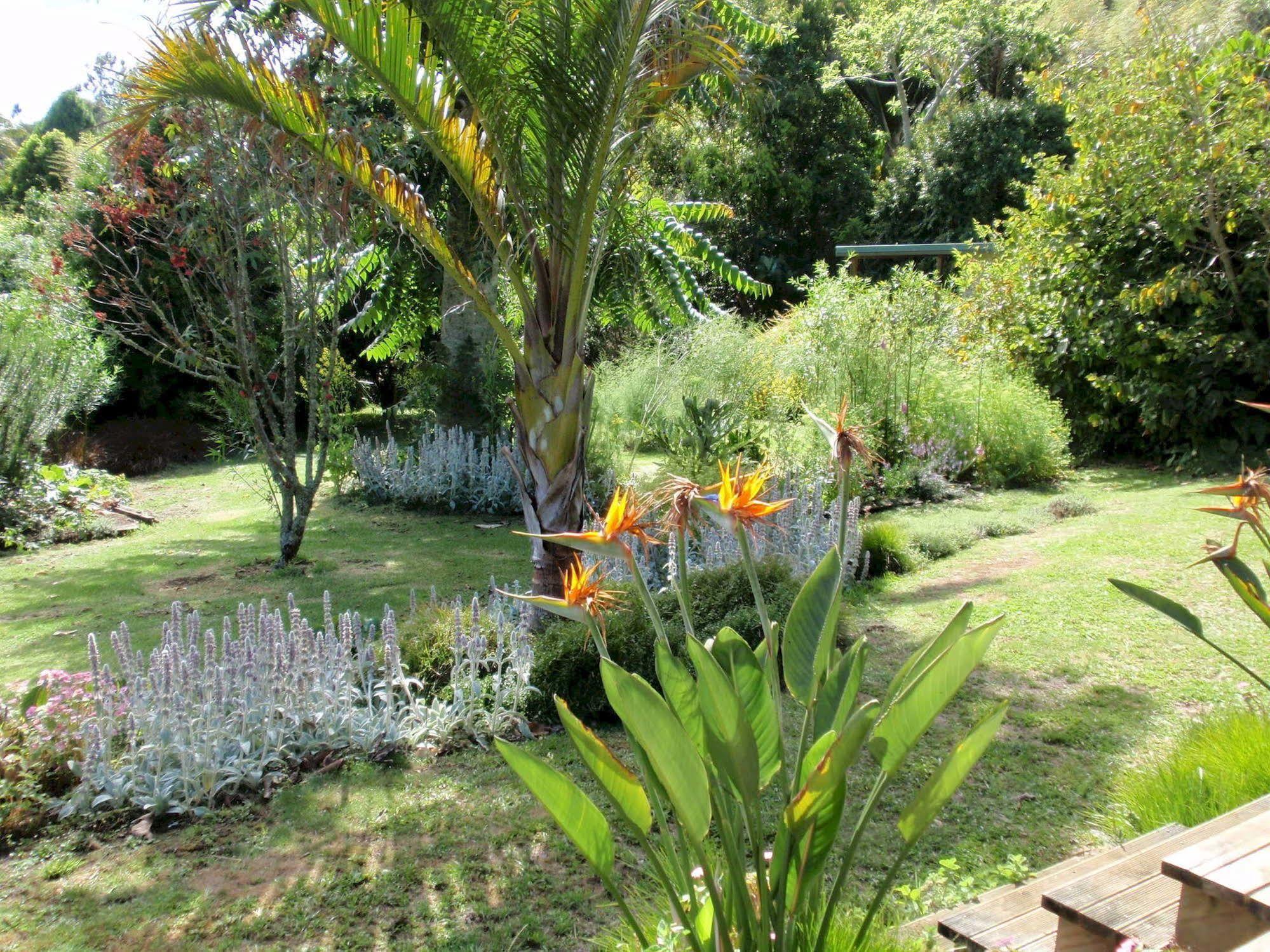Wharepuke Subtropical Accommodation Kerikeri Kültér fotó