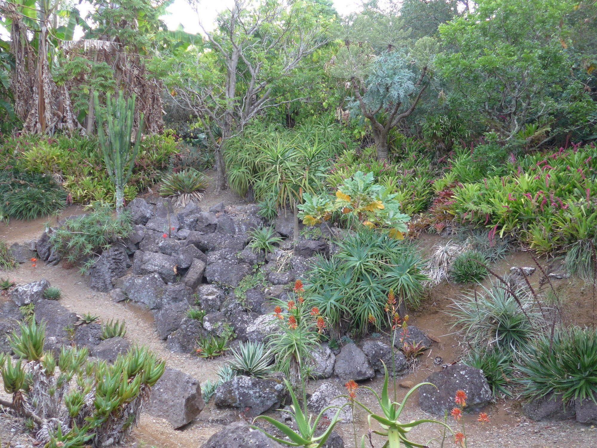 Wharepuke Subtropical Accommodation Kerikeri Kültér fotó