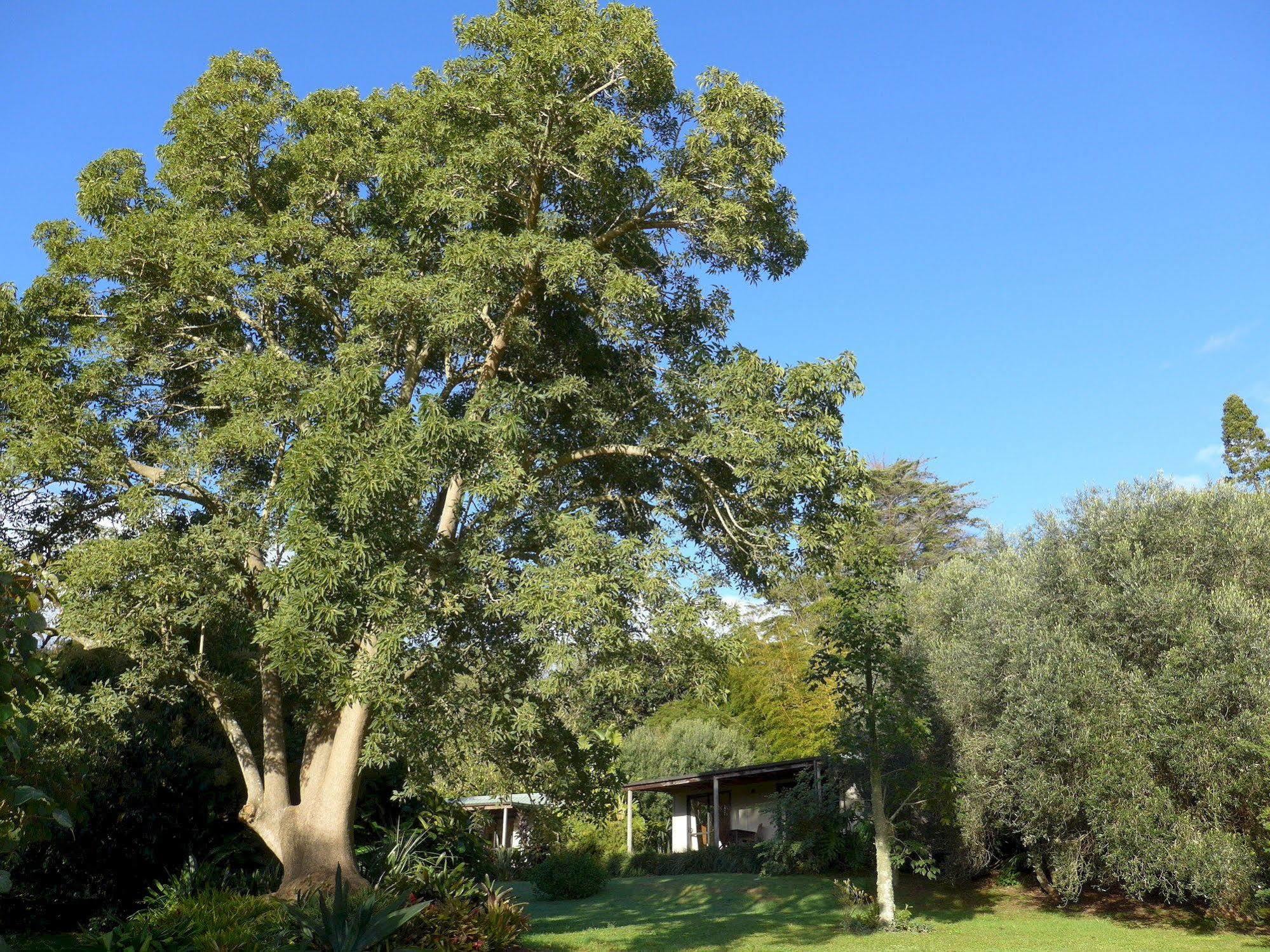 Wharepuke Subtropical Accommodation Kerikeri Kültér fotó