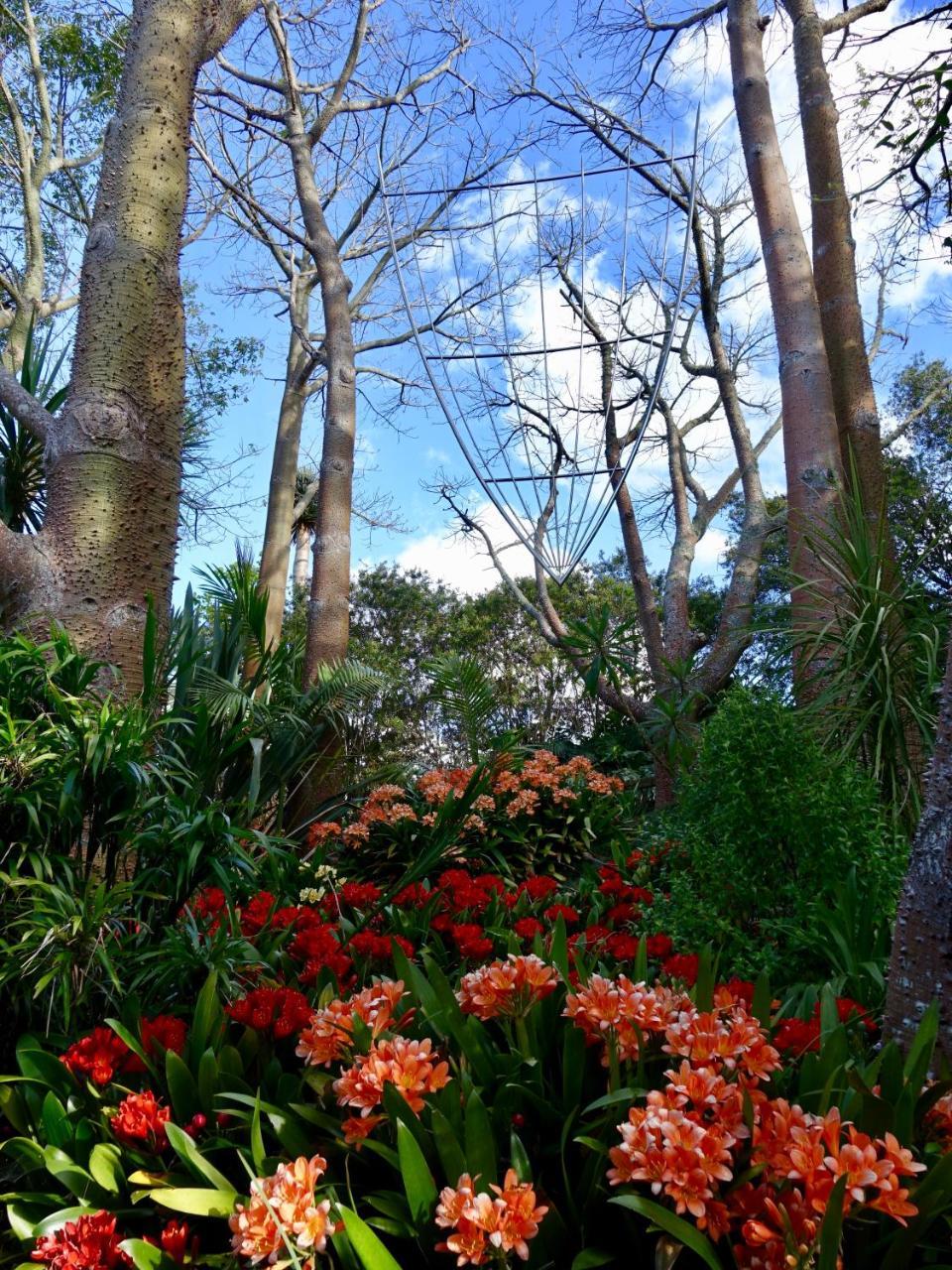 Wharepuke Subtropical Accommodation Kerikeri Kültér fotó