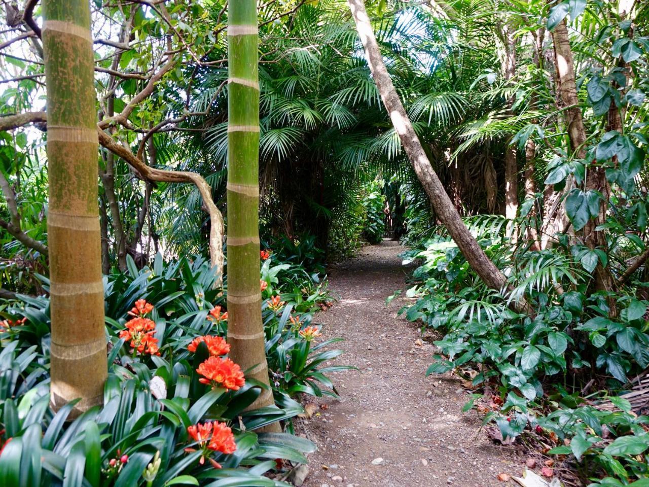Wharepuke Subtropical Accommodation Kerikeri Kültér fotó